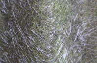 Dornoch fibreglass roof work